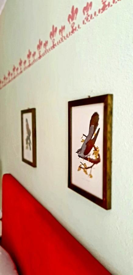 Villa Katarina Branik Zewnętrze zdjęcie